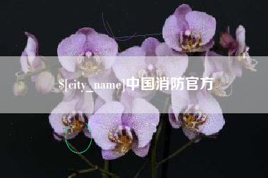 东平中国消防官方