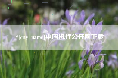 东平中国执行公开网下载