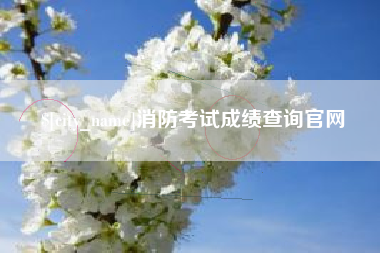 东平消防考试成绩查询官网