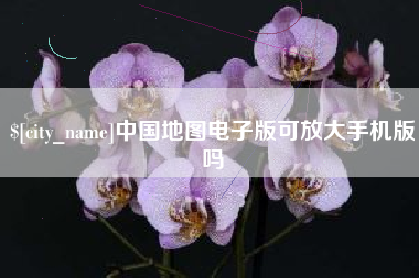 东平中国地图电子版可放大手机版吗