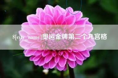 东平奥运金牌第二个九宫格