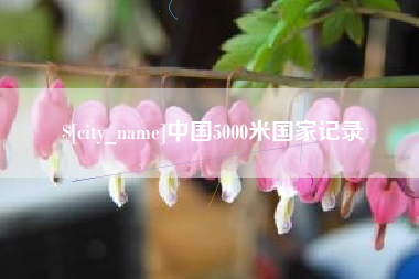 东平中国5000米国家记录