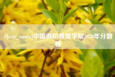 东平中国消防救援学院2020年分数线