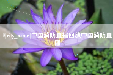 东平中国消防直播回放中国消防直播