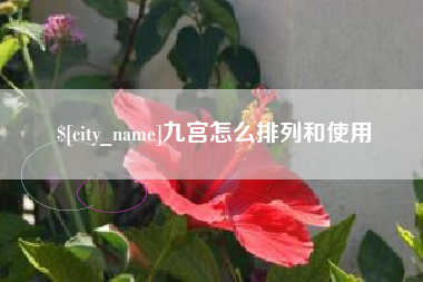 东平九宫怎么排列和使用