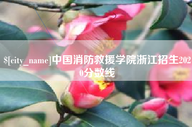 东平中国消防救援学院浙江招生2020分数线
