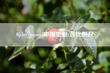 东平中国地图(含比例尺)