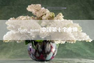 东平中国第十个金牌