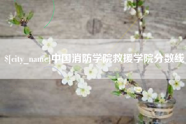 东平中国消防学院救援学院分数线