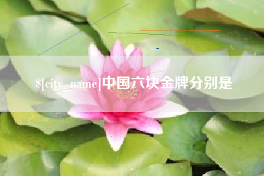 东平中国六块金牌分别是