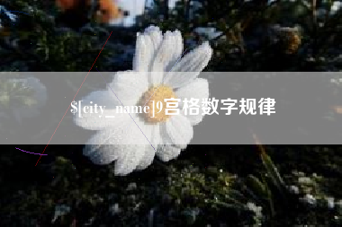 东平9宫格数字规律