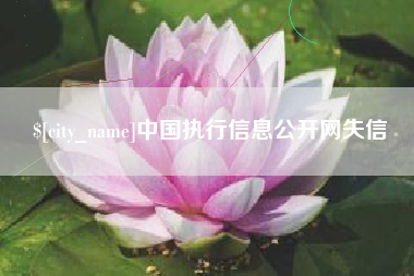 东平中国执行信息公开网失信