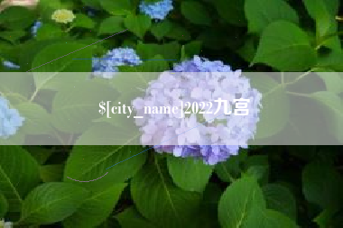 东平2022九宫