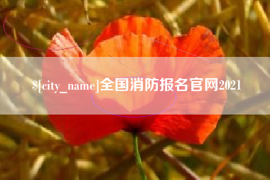 东平全国消防报名官网2021