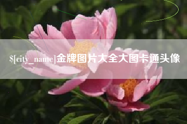东平金牌图片大全大图卡通头像