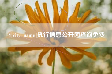 东平执行信息公开网查询免费